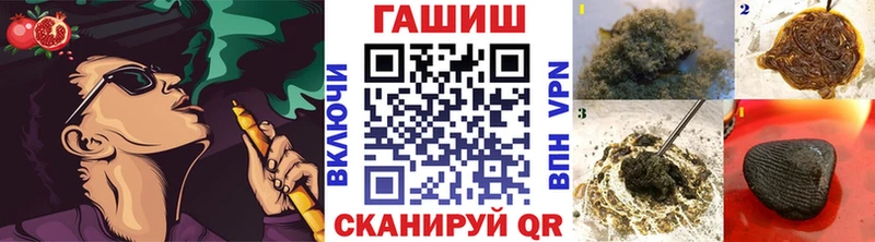 где можно купить   Михайлов  ГАШ убойный 