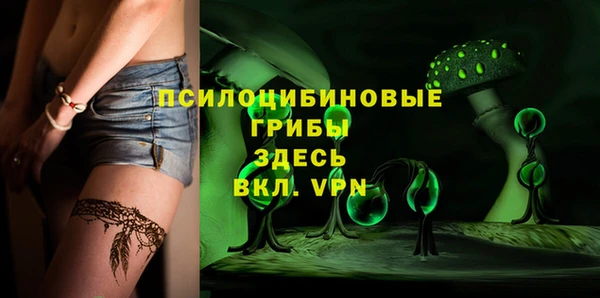 дурь Белокуриха