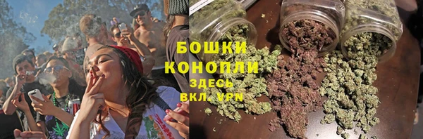 PSILOCYBIN Беломорск