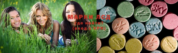 PSILOCYBIN Беломорск