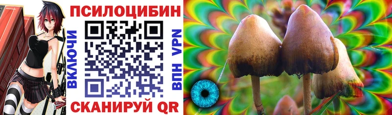 Галлюциногенные грибы GOLDEN TEACHER  Михайлов 